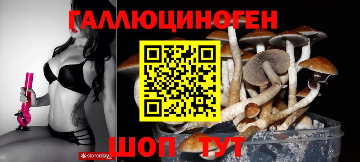 Галлюциногенные грибы прущие грибы Зеленогорск